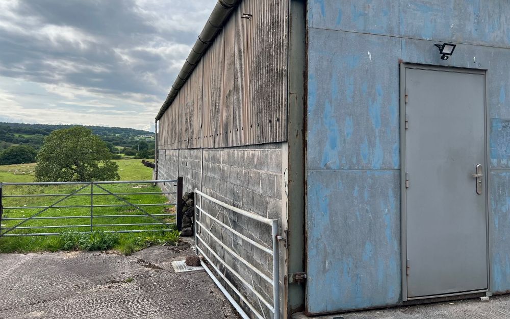 The Cow Shed